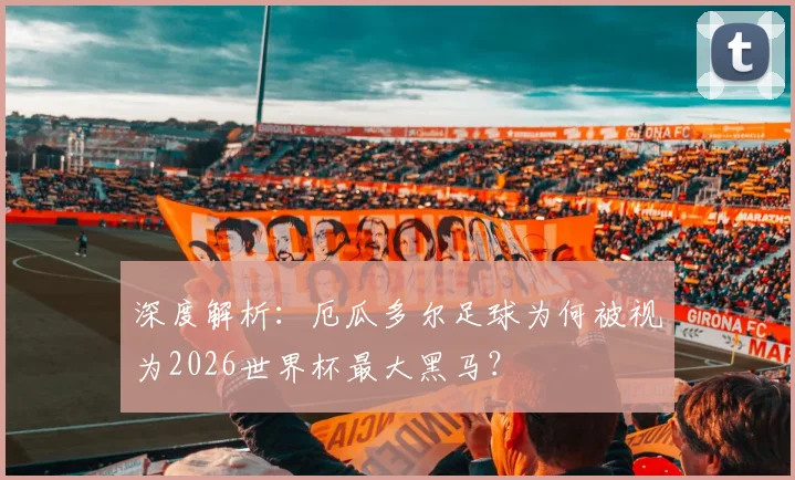 深度解析:厄瓜多尔足球为何被视为2026世界杯最大黑马?