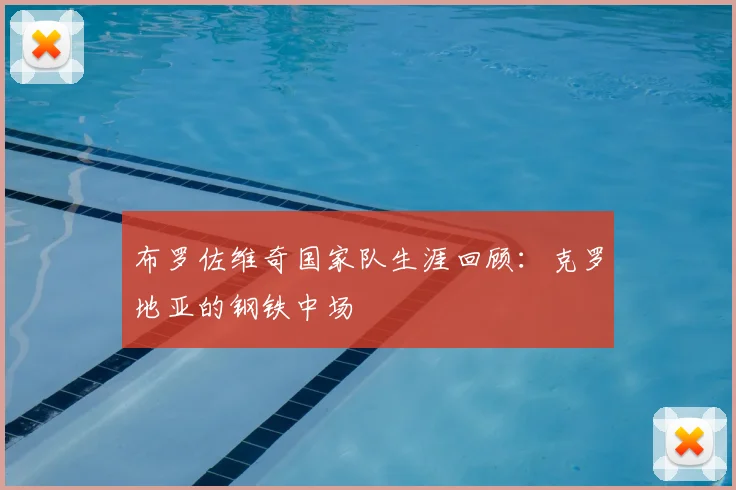 布罗佐维奇国家队生涯回顾:克罗地亚的钢铁中场
