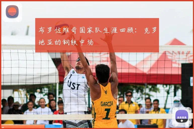 布罗佐维奇国家队生涯回顾:克罗地亚的钢铁中场