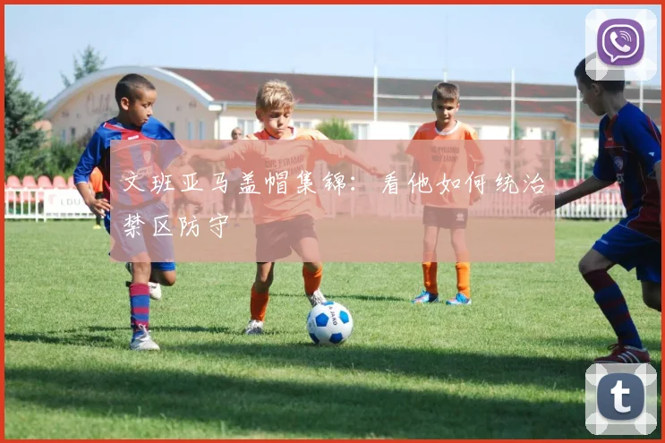 文班亚马盖帽集锦:看他如何统治禁区防守