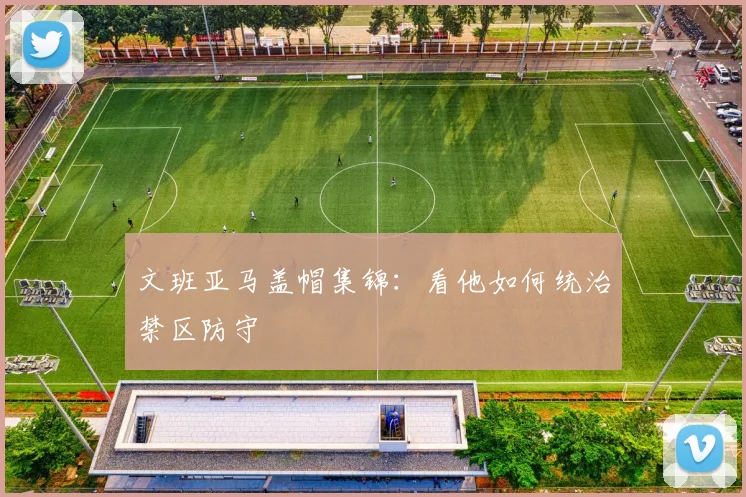 文班亚马盖帽集锦：看他如何统治禁区防守